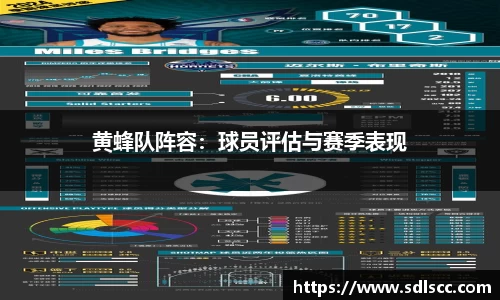 黄蜂队阵容：球员评估与赛季表现
