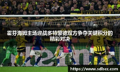 霍芬海姆主场迎战多特蒙德双方争夺关键积分的精彩对决
