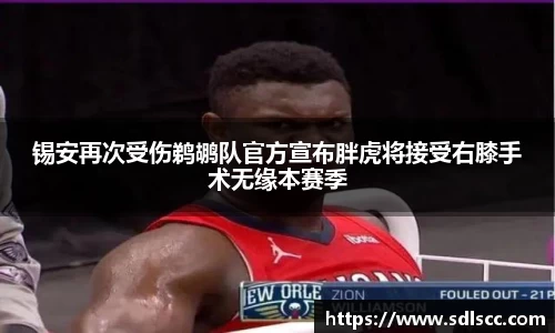 锡安再次受伤鹈鹕队官方宣布胖虎将接受右膝手术无缘本赛季